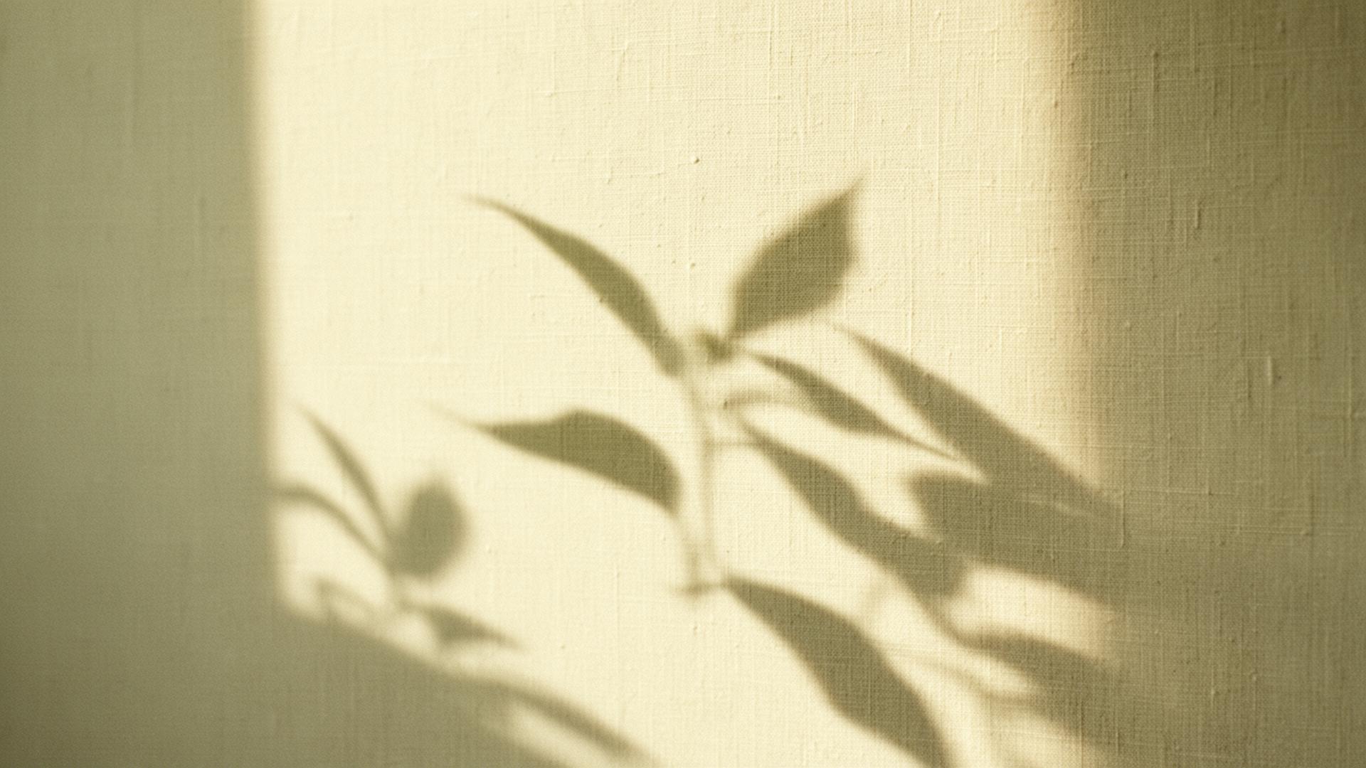 Sombras de hojas de té sobre un muro de lino cálido